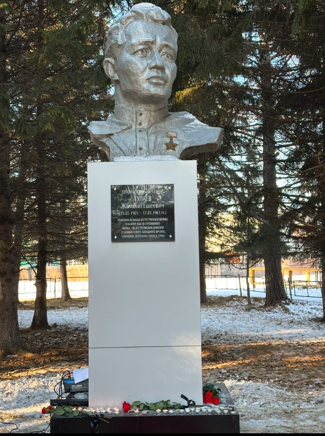 Благоустройство парка им.Ж.Е. Тулаева.