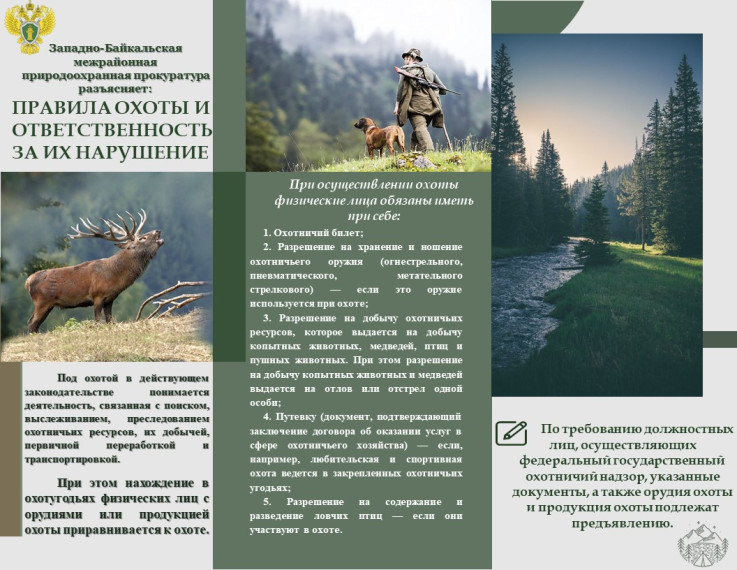 Правила охоты!. Правила охоты!.