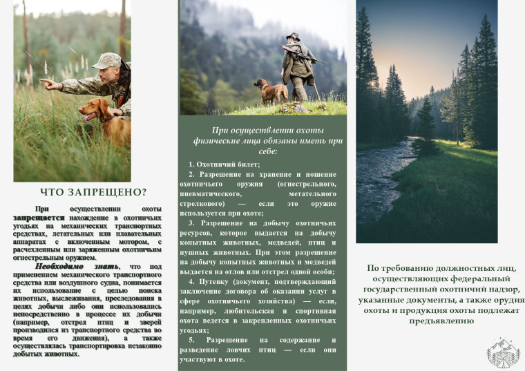 Правила охоты. Правила охоты.